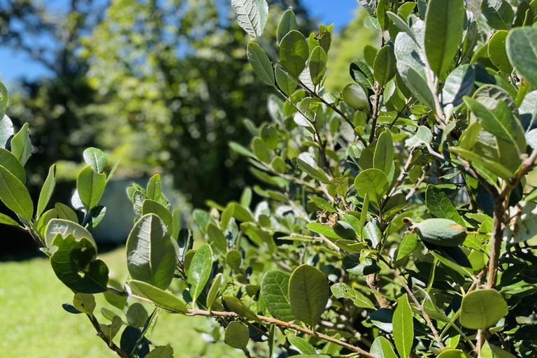 Photo of property in 89 Taylor Terrace, Tawa, Wellington, 5028