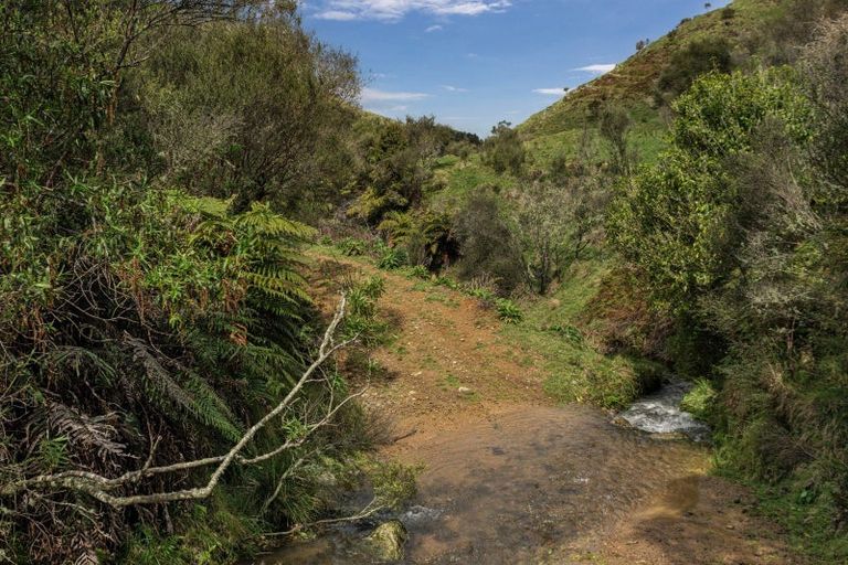 Photo of property in Holdsworth Road, Homebush, Masterton, 5810