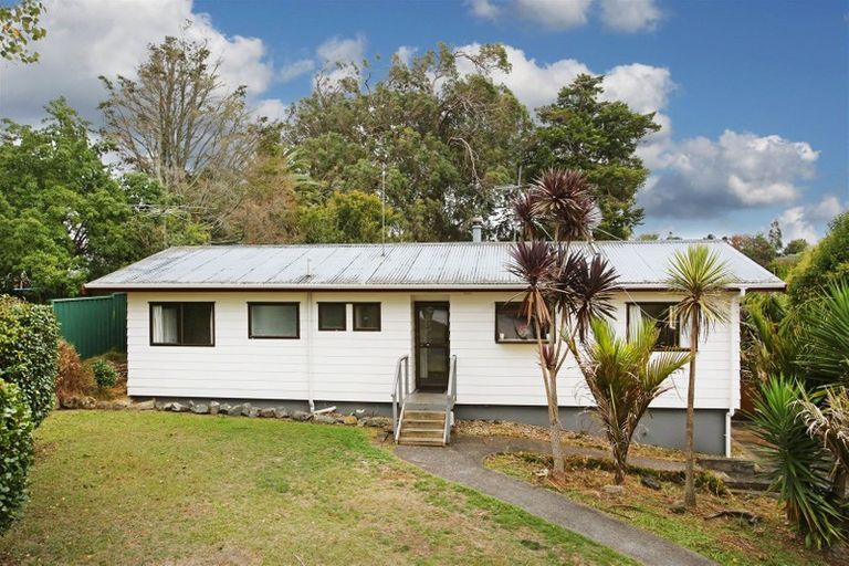 Photo of property in 31 Moloney Terrace, Pukekohe, 2120
