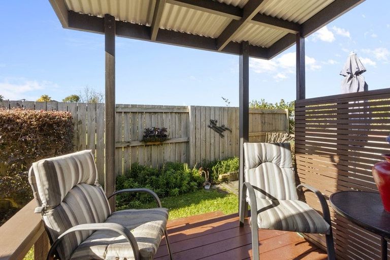 Photo of property in 113 Amanda Avenue, Dinsdale, Hamilton, 3204