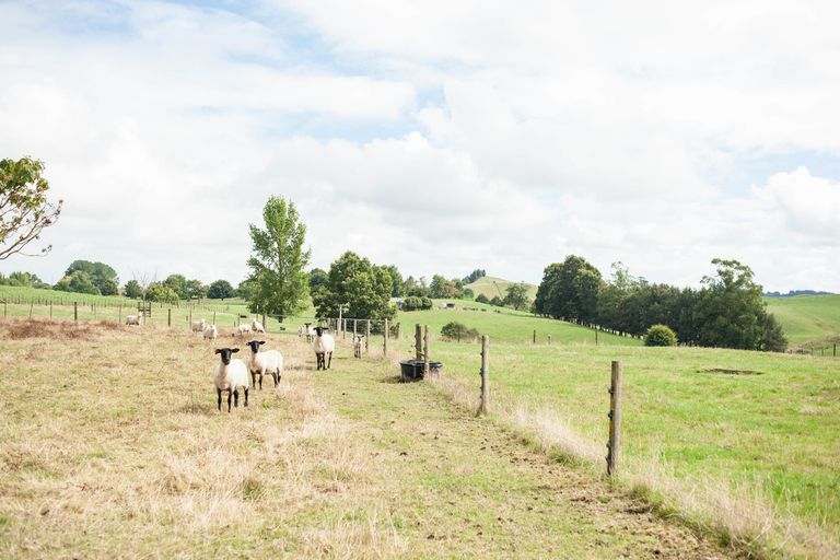 Photo of property in 367 Pinny Road, Otorohanga, 3976