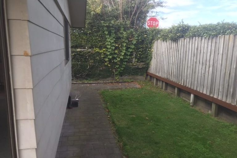 Photo of property in 74b Campbell Road, Mount Maunganui, 3116