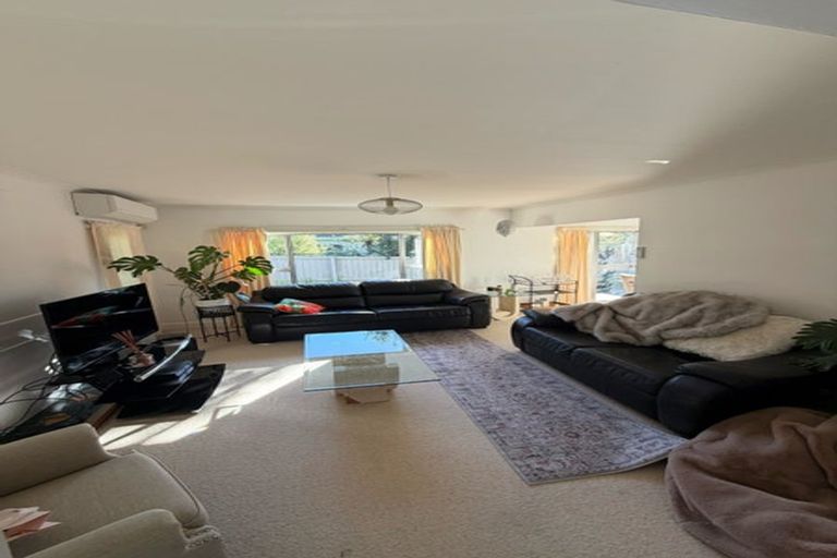 Photo of property in 19 Richill Street, Belfast, Christchurch, 8051