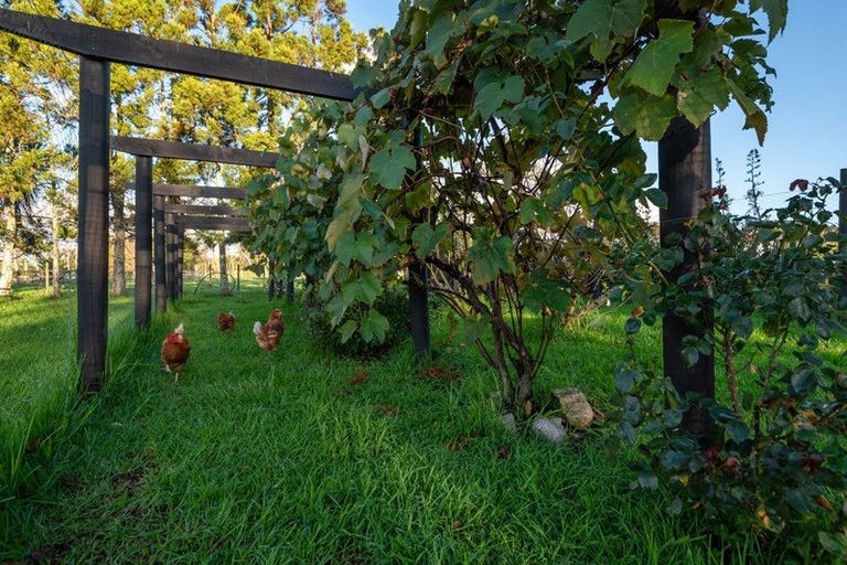 Photo of property in 1343 Kahikatea Flat Road, Kaukapakapa, 0871