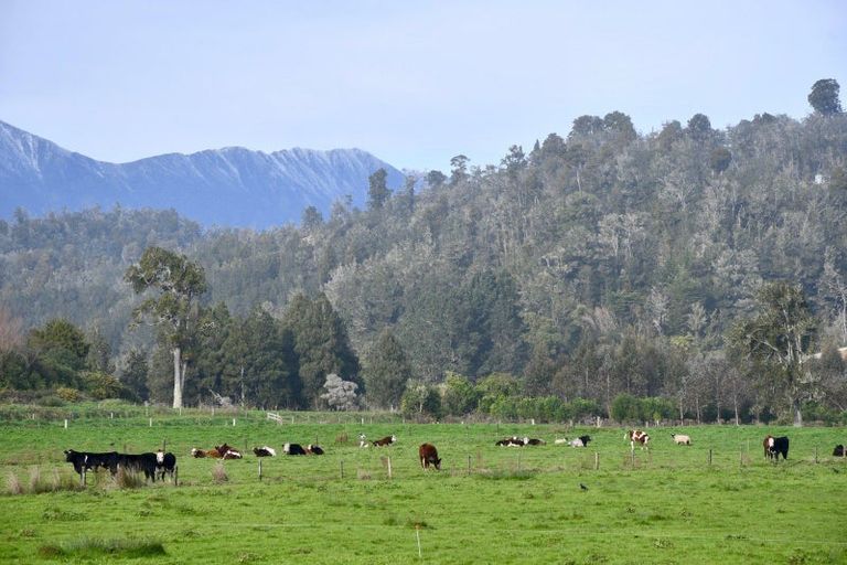 Photo of property in 106 Granite Creek Road, Karamea, 7893