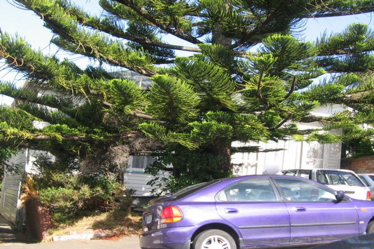 Photo of property in 19 Thompson Street, Mount Cook, Wellington, 6011