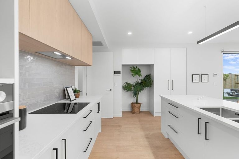 Photo of property in 55a Wilton Road, Wilton, Wellington, 6012