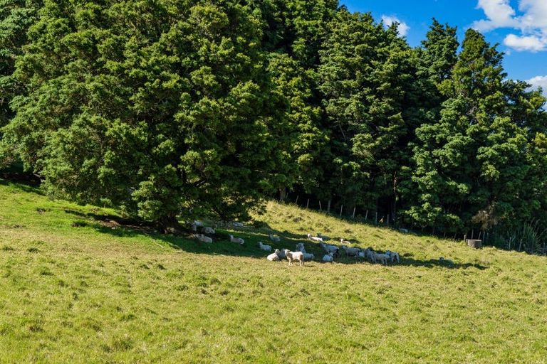 Photo of property in 75 Snooks Road, Maungatapere, Whangarei, 0179
