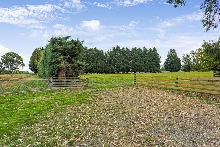 Photo of property in 41 Hazlett Road, Mosgiel, 9092