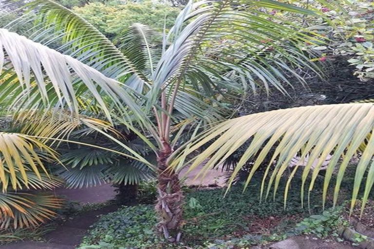 Photo of property in 39 Chaucer Road, Hospital Hill, Napier, 4110