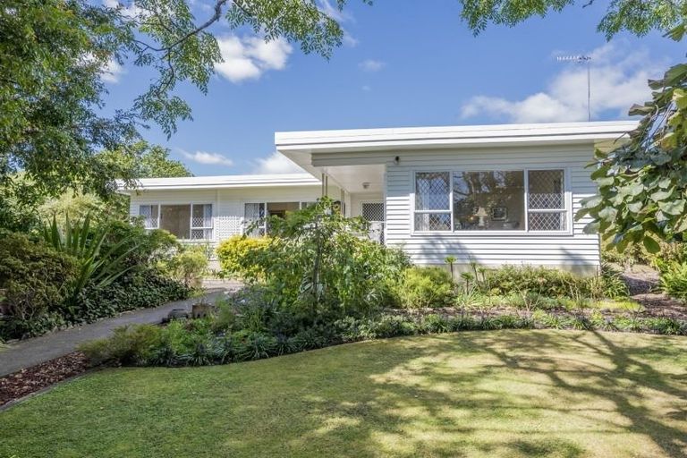 Photo of property in 18 Graham Street, Levin, 5510