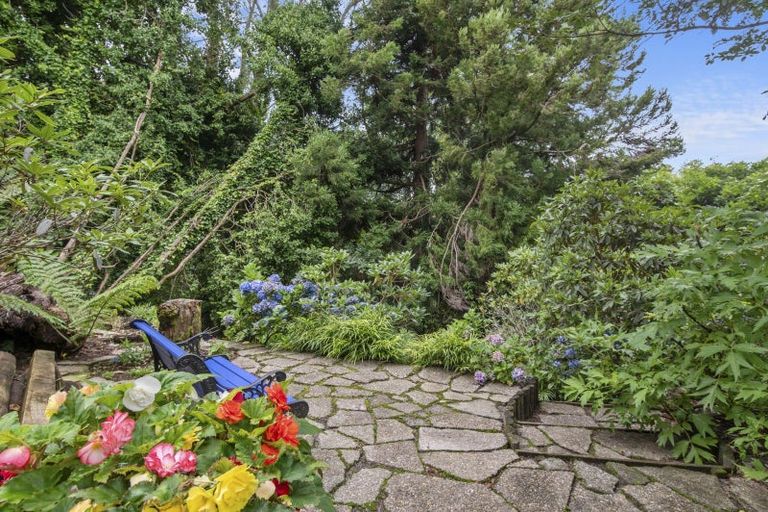 Photo of property in 7 Hector Place, Sunnybrook, Rotorua, 3015