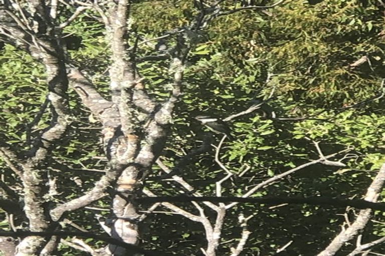 Photo of property in 61a Mortimer Terrace, Brooklyn, Wellington, 6021