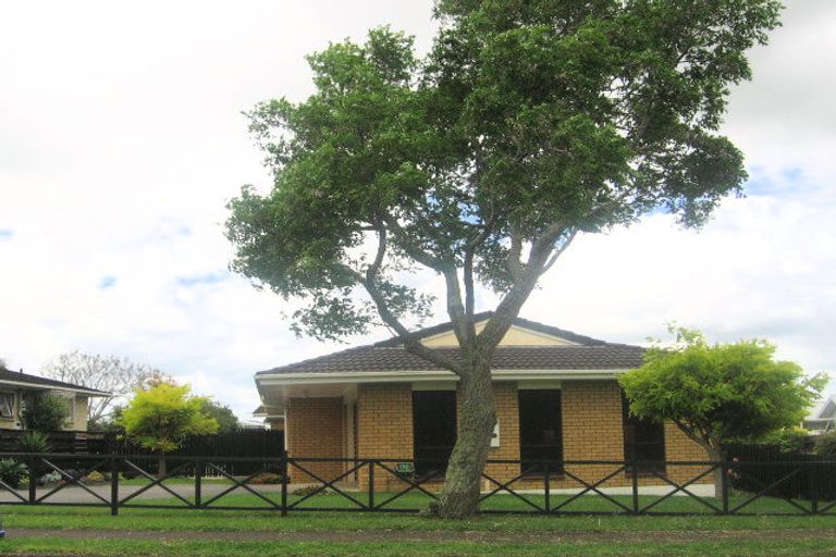 Photo of property in 11 Jutland Road, Pukekohe, 2120