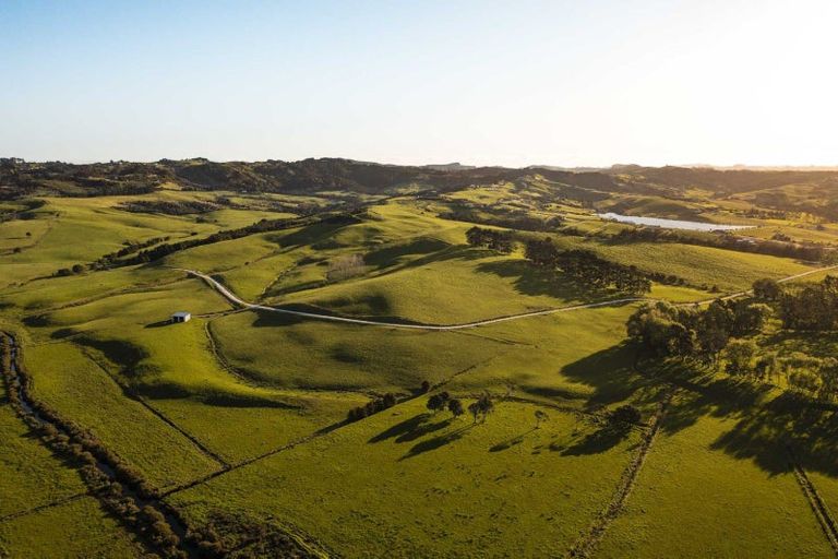 Photo of property in 10 Wallbank Way, Mangawhai, Wellsford, 0975