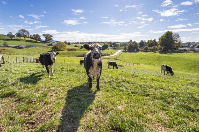 Photo of property in 77 Lichfield Road, Lichfield, Putaruru, 3482