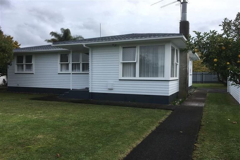 Photo of property in 29 Harper Street, Papakura, 2110