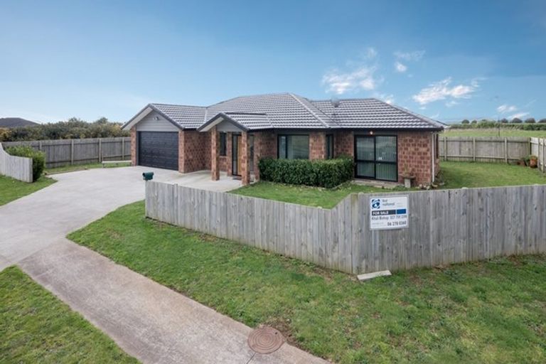 Photo of property in 2 Reremoana Close, Hawera, 4610