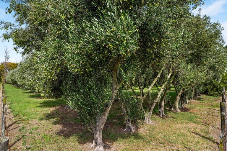 Photo of property in 447 Wairau Bar Road, Spring Creek, Blenheim, 7273