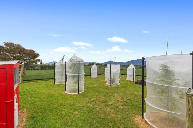 Photo of property in 1636 Alexandra Road, Waharoa, 3474