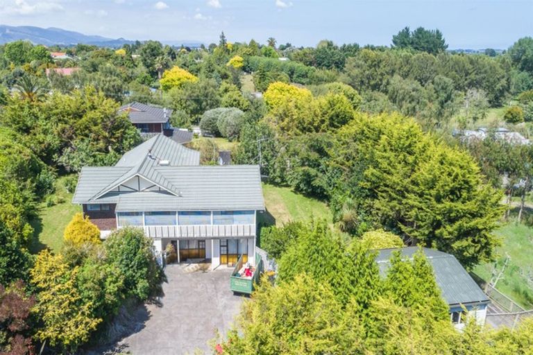 Photo of property in 45 The Avenue, Levin, 5510