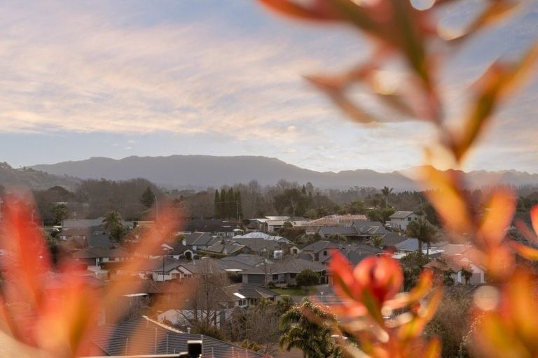 Photo of property in 25 Siemonek Rise, Bethlehem, Tauranga, 3110