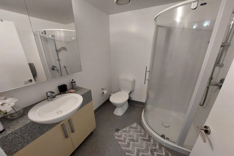 Photo of property in Dual Apartments, 203/142u Vivian Street, Te Aro, Wellington, 6011