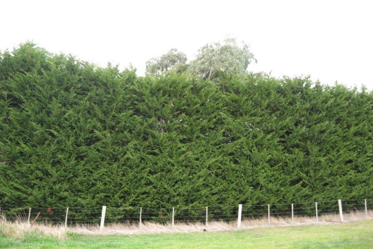 Photo of property in 112 Edinburgh Street, Waikouaiti, 9510