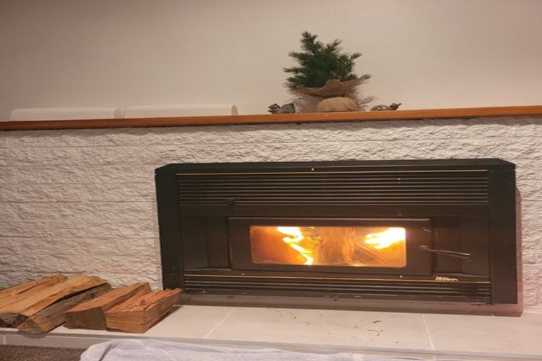 Photo of property in 17 Elizabeth Street, Tuakau, 2121