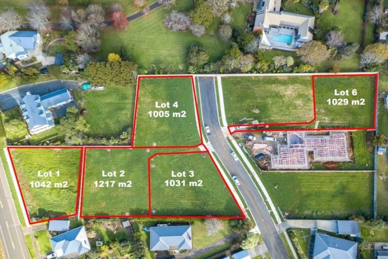 Photo of property in 29 Laurelwood Avenue, Pukekohe, 2120