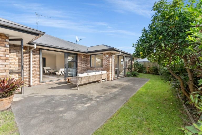 Photo of property in 20b Victoria Avenue, Whakatane, 3120