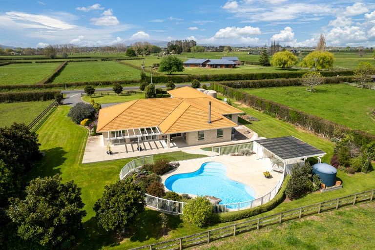 Photo of property in 13 Hogan Road, Cambridge, 3493