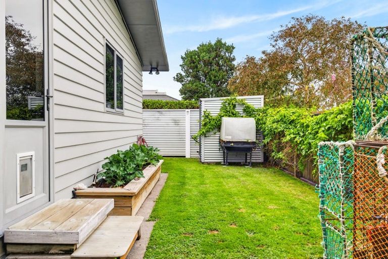 Photo of property in 11 Mer Place, Bay View, Napier, 4104
