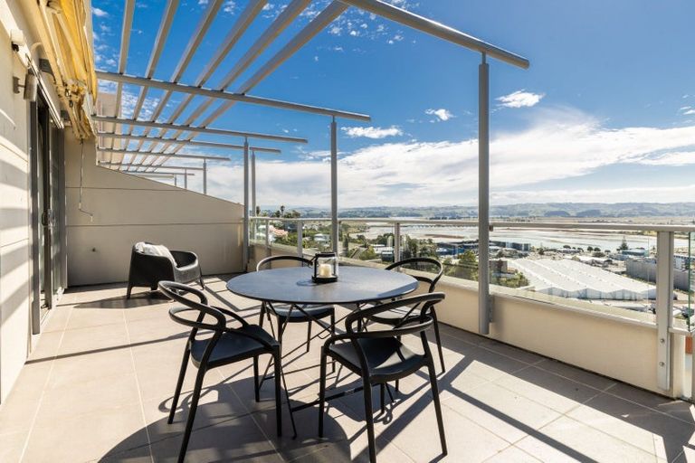 Photo of property in Northridge Apartments Stage Z, 12/22 Hospital Terrace, Hospital Hill, Napier, 4110