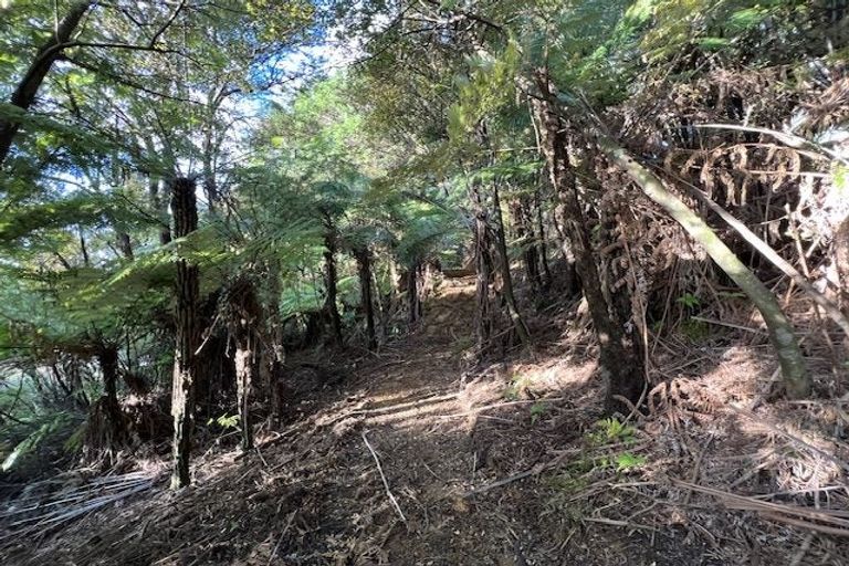 Photo of property in 211 Krippner Road, Puhoi, Warkworth, 0994