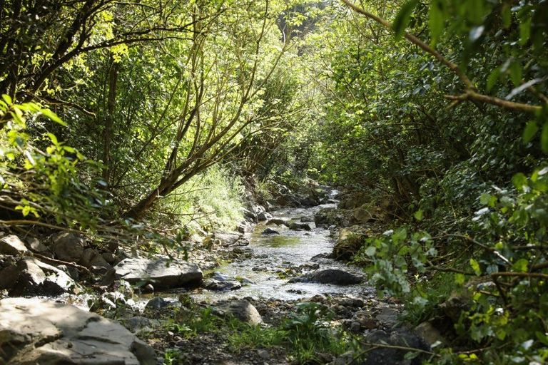 Photo of property in 106 Harrison Hill Road, Aokautere, 4471