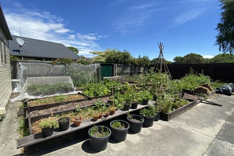 Photo of property in 19 Rosella Street, Broomfield, Christchurch, 8042