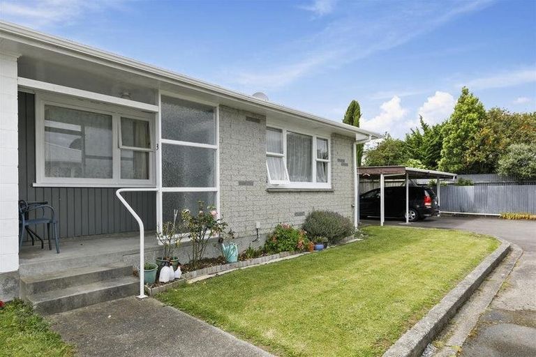 Photo of property in 3/3 Copeland Street, Hutt Central, Lower Hutt, 5011