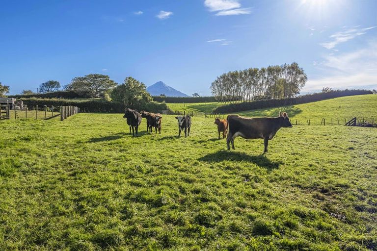 Photo of property in 241 Warwick Road, Stratford, 4391