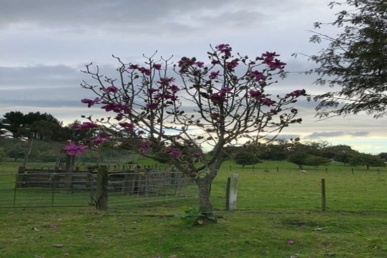 Photo of property in 3 West Beach Road, Mohaka, Raupunga, 4189
