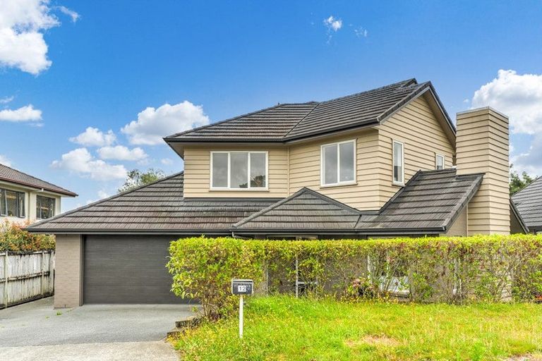 Photo of property in 12 Kouras Place, Flat Bush, Auckland, 2016