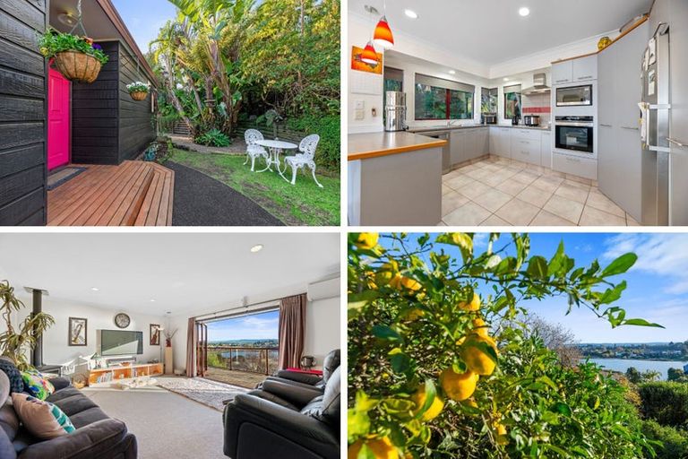 Photo of property in 124 Haukore Street, Hairini, Tauranga, 3112