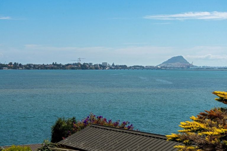 Photo of property in 266 Maungatapu Road, Maungatapu, Tauranga, 3112