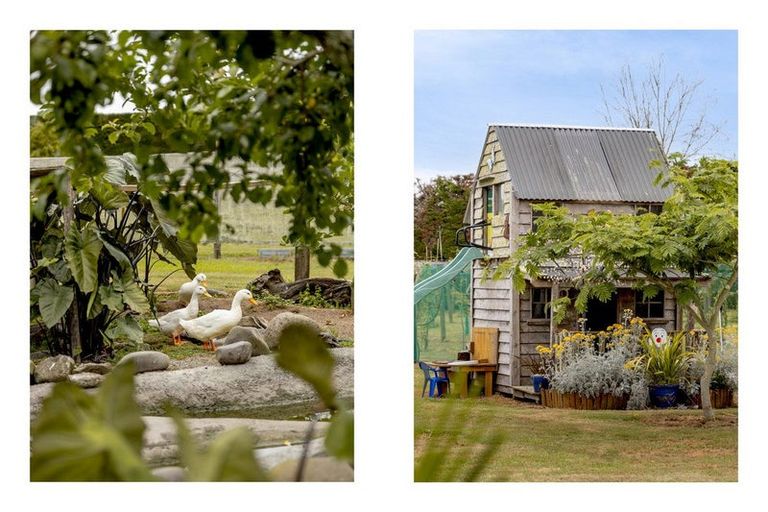 Photo of property in 16 Hogbin Road, Te Teko, Whakatane, 3193