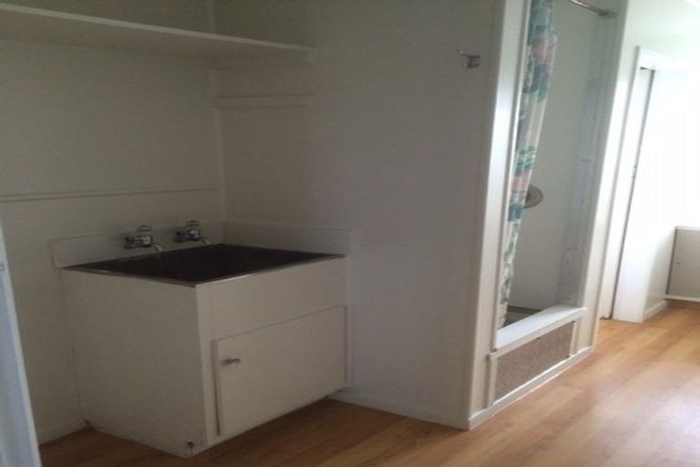 Photo of property in 44e Charlemont Street, Whitiora, Hamilton, 3200
