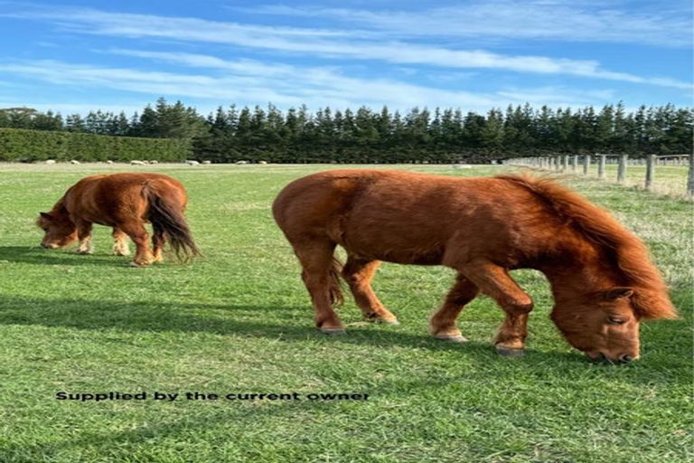 Photo of property in 1789 South Eyre Road, Eyrewell, Rangiora, 7476
