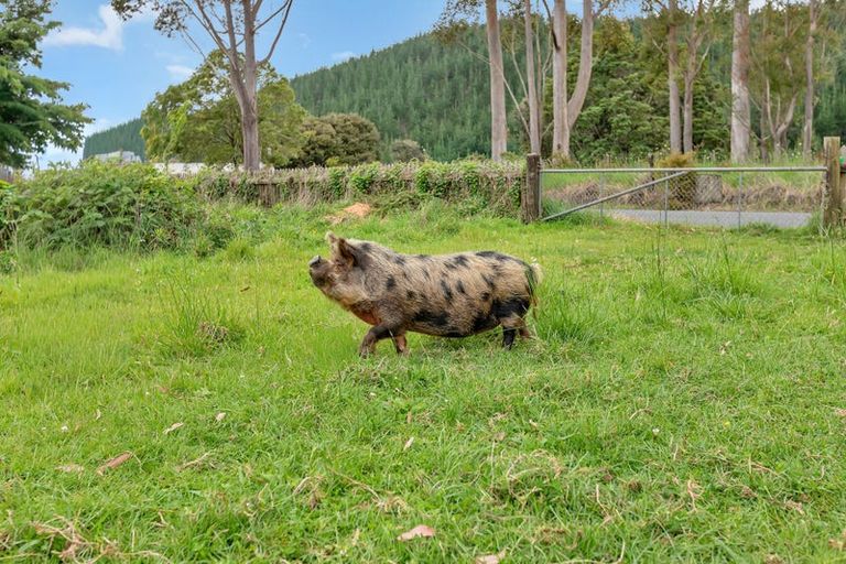 Photo of property in 37 Takitu Road, Pakotai, Whangarei, 0172