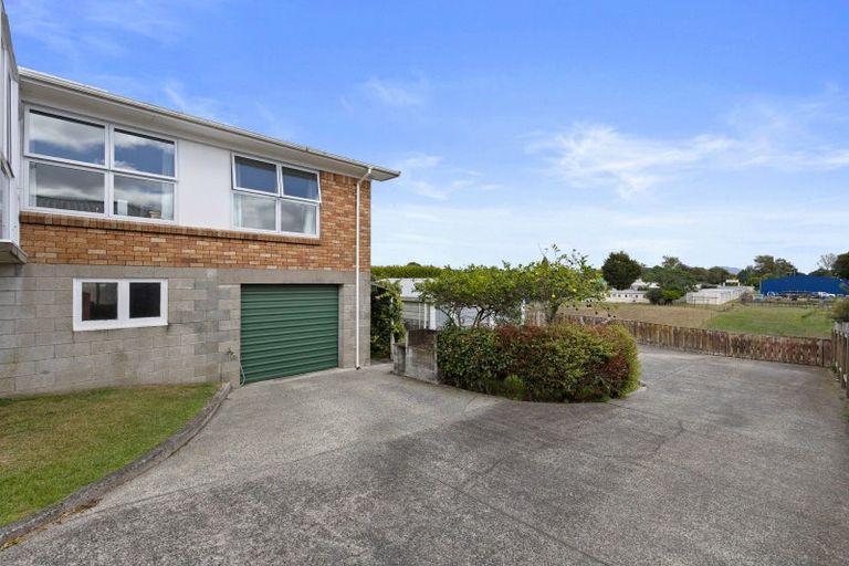 Photo of property in 24 Anderson Street, Putaruru, 3411