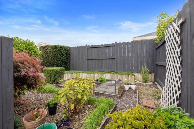 Photo of property in 2 Burnt Oak Drive, Pyes Pa, Tauranga, 3112