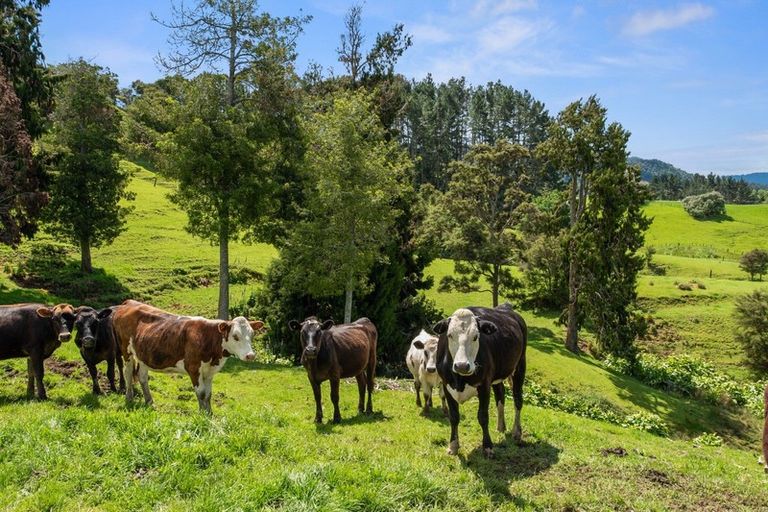 Photo of property in 122a Te Puroa Road, Ngaruawahia, 3793